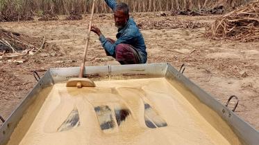 লাল চিনির জিআই স্বীকৃতি