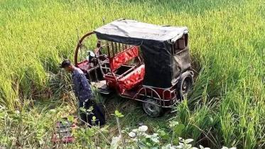 paddy-field.jpg
