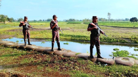 Lalmonirhat border killing
