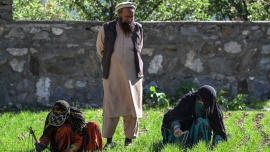 Afghanistan