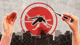 dengue