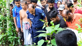 ছবি: স্টার