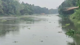 বারনই নদী