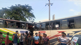 mynsing bus
