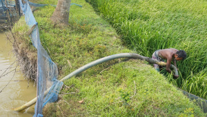 ছবি: হাবিবুর রহমান/স্টার