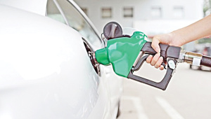 স্টার ফাইল ছবি।