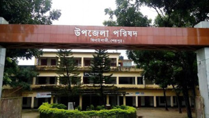 উপজেলা পরিষদ
