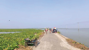 চলন বিল