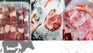 meat