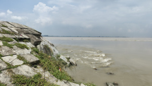 Rangpur 