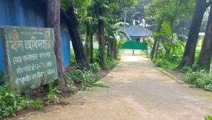 mirshorai-range