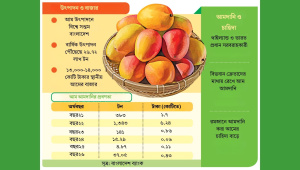 আম আমদানি