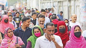 স্টার ফাইল ছবি।