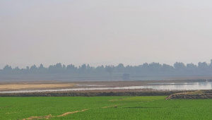 স্টার ফাইল ছবি।