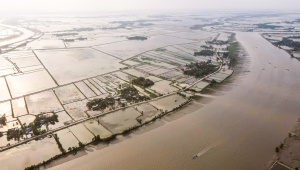 ছবি: স্টার।