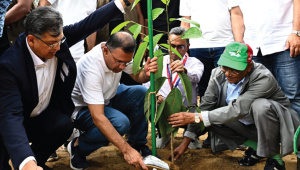 বৃক্ষরোপণ