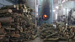 কাঠ পোড়ানো হচ্ছে