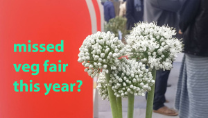 বাংলাদেশ জাতীয় সবজি মেলা ২০১৮