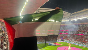 World Cup Football Fan