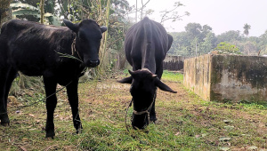 বর্জ্য ব্যবস্থাপনা কেন্দ্র