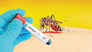 dengue_positive.jpg