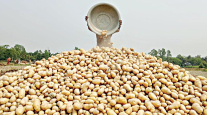 ছবি: স্টার।