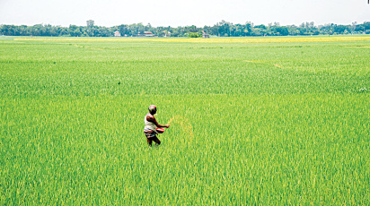 ছবি: স্টার।