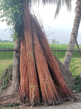 natore_jute_growers_in_problem_photo_8.jpeg
