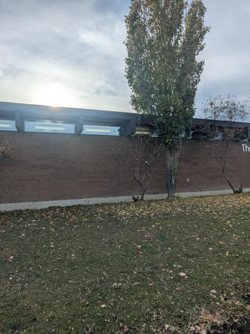 manitoba 