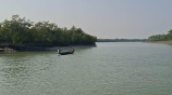 Sundarbans