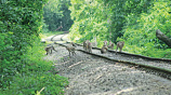 ছবি: স্টার।