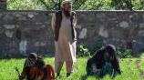 Afghanistan