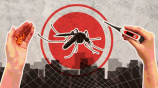 dengue