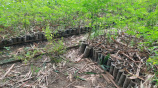 ছবি: স্টার।
