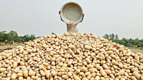 ছবি: স্টার।